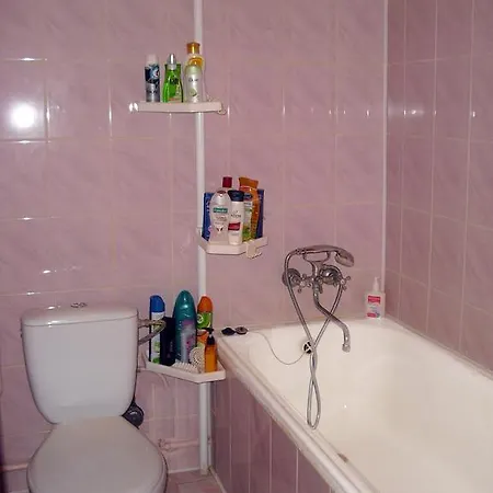 Apartment On Krakovskaya 9 *